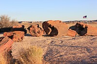 IMG_8263