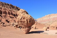IMG_8289