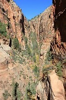 IMG_8349