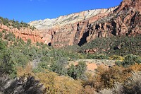 IMG_8367