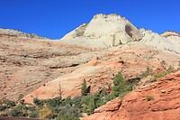 IMG_8377