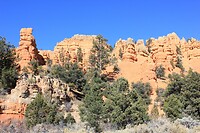 IMG_8394