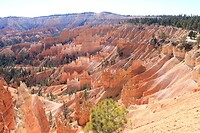 IMG_8404