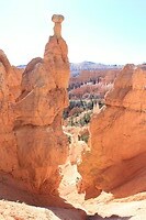 IMG_8418