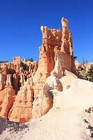 IMG_8425