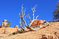 IMG_8431