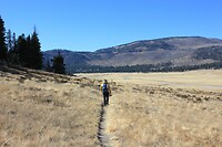 IMG_8611