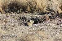IMG_8620
