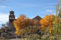 IMG_8643
