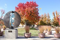 IMG_8656