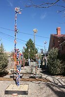 IMG_8662