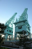 IMG_8746