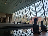 IMG_8784_20231117_125522