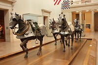 IMG_8781