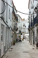 IMG_8800