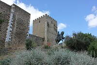 IMG_8822