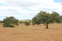 IMG_8891