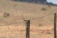 IMG_8919