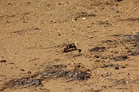 IMG_9028