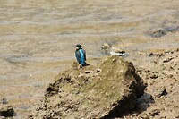IMG_8974