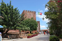 IMG_9002