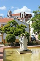 IMG_9010