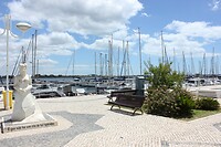 IMG_8939
