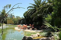 IMG_9255