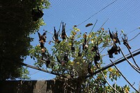IMG_9258