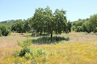IMG_9290