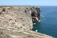 IMG_9313