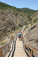 IMG_9362