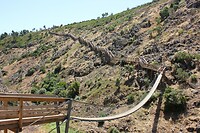 IMG_9363