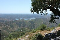 IMG_9366