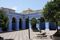 IMG_9500