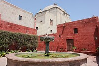 IMG_9521