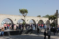 IMG_9549