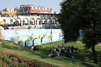 IMG_9555