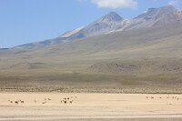 IMG_9594