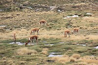IMG_9616