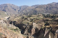 IMG_9665