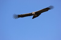 IMG_9674