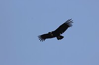 IMG_9759
