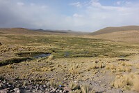 IMG_9771