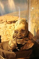 IMG_9830