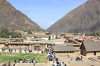 IMG_9884