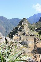 IMG_9974