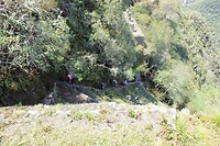IMG_9987