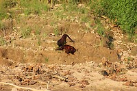 IMG_0169