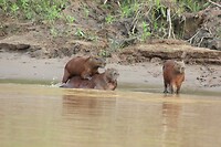 IMG_0182